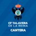 Cantera CF Talavera de la Reina (@CanteraCFT) Twitter profile photo