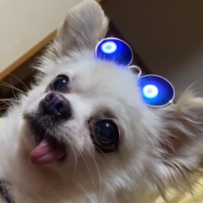 mi_miyutaku_ka's profile picture. 関ジャニ∞箱推し💚🧡💙💜🖤大倉くん推し💚大人eighter親子eighter