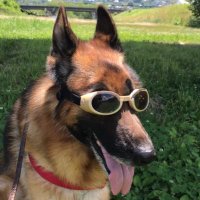 🇯🇵ジロー🍰 (@berry140808) Twitter profile photo