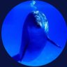 Gumus381's profile picture. Resmi twitter hesabim