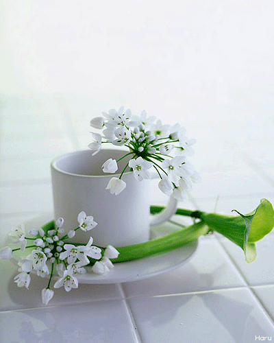 smilegoodday's profile picture. 이세상에 태어난 이유를 알고싶고,  덜아픈사람이 더 아픈사람을 안아주고 토닥여주는 마음이고 싶다.