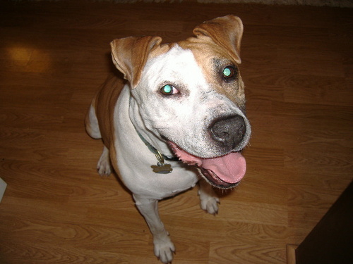 ArticleSearch's profile picture. 