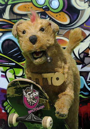 CrackDog's profile picture. Born In the East Village, when the east Village was cool. Raised on the streets of Nasty Town.  Educated at the School of Hard Knocks. Enjoys a good party!!