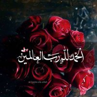 Isra Kareem (@kareem_isra92) 's Twitter Profile