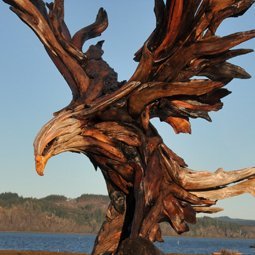 ClemLegacy's profile picture. FF/P Part-time Trader. Everyday is full of oppurtunity if your paying attention. All posts are opinion only.