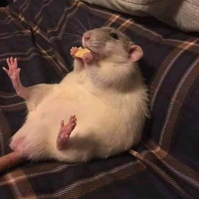 fallenk66's profile picture. 