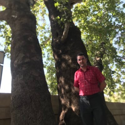 I am Chief Agriculture Engineer. I have a BSc degree in field Crops from Iraq and an MSc degree in Plant Tissue Culture from Essex university in the UK.