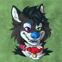 Kyro (@kyro_the_swolf) 's Twitter Profile