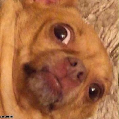 CODEFRE151744's profile picture. GG