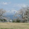 みわはじめ