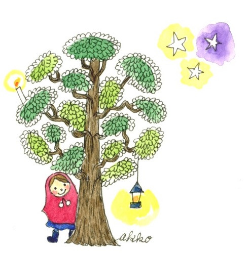 akkomさんのプロフィール画像