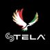 STELA, Inc (@IncStela) Twitter profile photo