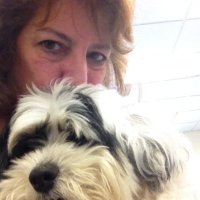 Lisa DePaulo - @LisaDepaulo Twitter Profile Photo