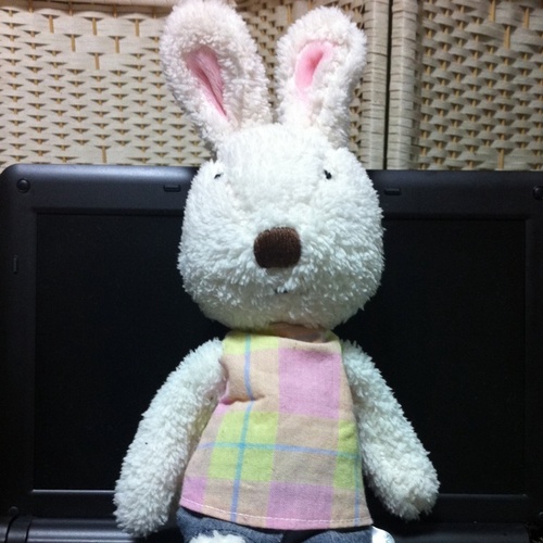 ddaenggi's profile picture. 