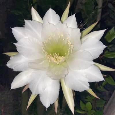 GiselaPaez15's profile picture. ●No hace falta verte,para tenerte en mi mundo●