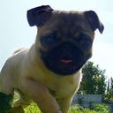 Beth Fiore - @BethCollectrium - Twitter