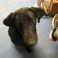 blinddogtweets (@kevinco18004968) 's Twitter Profile Photo blinddogtweets (@kevinco18004968) 's Twitter Profile Photo