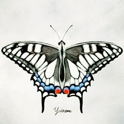 ゆいのめさんのプロフィール画像