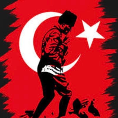 turkophobics's profile picture. #Justice #hypocrisy #receptayyiperdogan