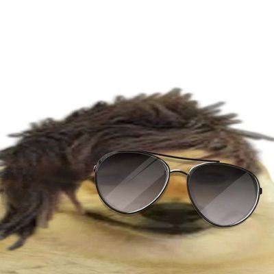 h_krink__'s profile picture. Shadow Wizard Money Gang