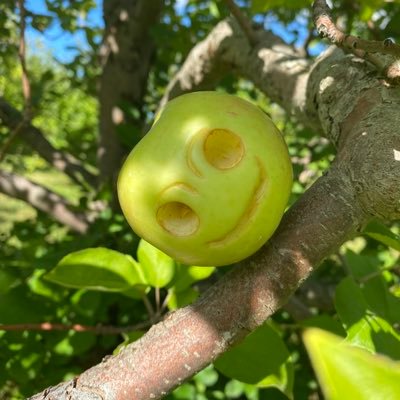 lindasilva1983's profile picture. Live your life