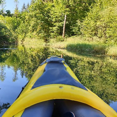 cryptomajstr's profile picture. crypto
#bitcoin