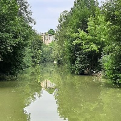 sovantgerry's profile picture.