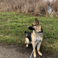 Tom Whaley (@twsaint) 's Twitter Profile Photo