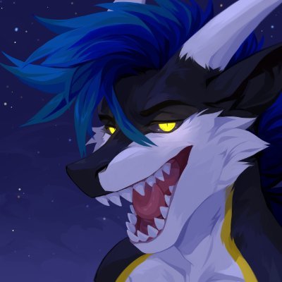 Shargon boi | 🐲 50% 🦈50% NSFW = @AchyxAD | 💖 @Aster_Draconis President de/of @FranceFurry_ | ⚠️ sometimes suggestive (+16)