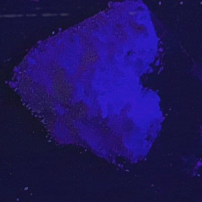 lil_fvrr's profile picture. juss to remind people I existed