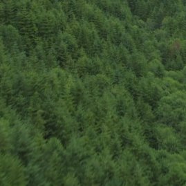 beatabsoul's profile picture. 