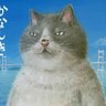 Justtaway's profile picture. https://t.co/4k9yvyevwH
https://t.co/8iPqJz0d6p… | https://t.co/5tOTlf0HZc… | https://t.co/8mhUHPi5F4… | Спойлеры и страдания