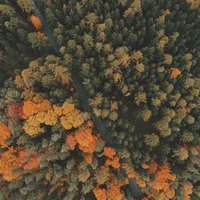 fai (@iaf) 's Twitter Profile