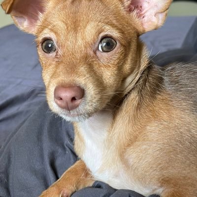 Izzy93872603's profile picture. 