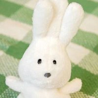 떼굴 (@ddeguuul) 's Twitter Profile