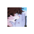 STARBUNNl's profile image