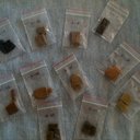 Alex Ni - @legal_hash - Twitter