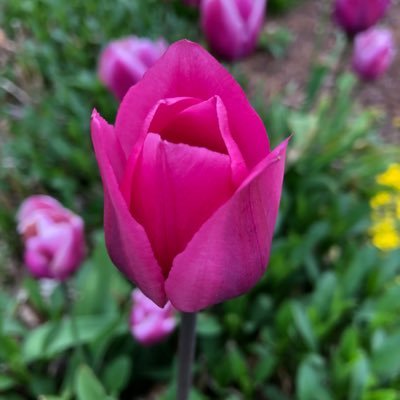 MargaretDee18's profile picture. 