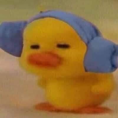 nicewooks's profile picture. 