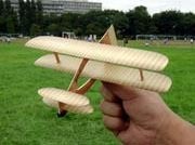 模型グライダーなど、飛ぶもの全般に興味ありな人です。 Condor2バーチャルパイロット PikminBloom ミニ四駆超速GP