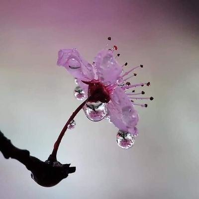 Victori58826519's profile picture. 