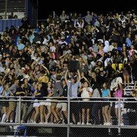Bear Pack (@thebearpack21) 's Twitter Profile