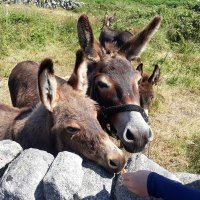 Rebecca Keatinge (@rebeccakeatinge) 's Twitter Profile