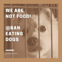 Ban Eating Dogs #BanEatingDogs (@baneatingdogs) 's Twitter Profile