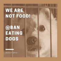 Ban Eating Dogs #BanEatingDogs(@BanEatingDogs) 's Twitter Profile Photo