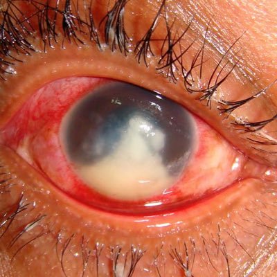 i_wuna_b_her's profile picture. ⠀⠀⠀⠀⠀⠀⠀⠀⠀ ⠀⠀⠀⠀⠀⠀⠀⠀⠀ i'll eat ur fukin boifrnd