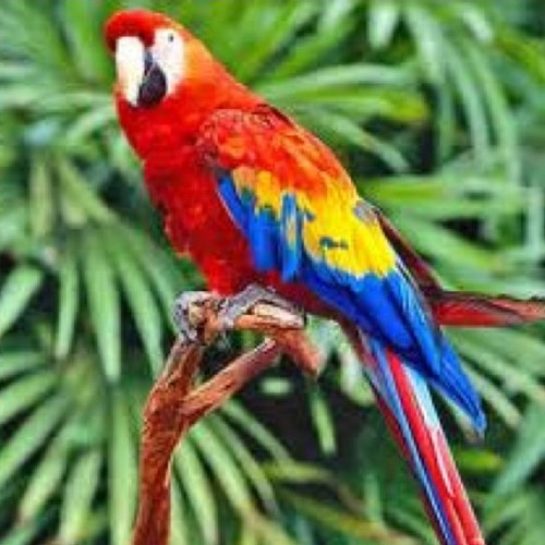 Pollyplumber's profile picture. 