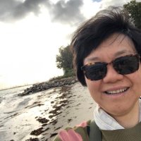 Ying Liu (@yingliullama) 's Twitter Profile