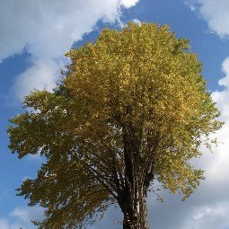 shitian321136's profile picture. 政治・選挙・政局・イノベーション・起業などに興味。 零票確認ガチ勢。 特定政党は支持せず是々非々。 国内外のtweetをメモとして発信。 RT多めですが、(いいね)は備忘録で、賛同ではないです。 Rugby🏉観戦が好き。自転車レース観戦も好き。BROMPTON乗り。