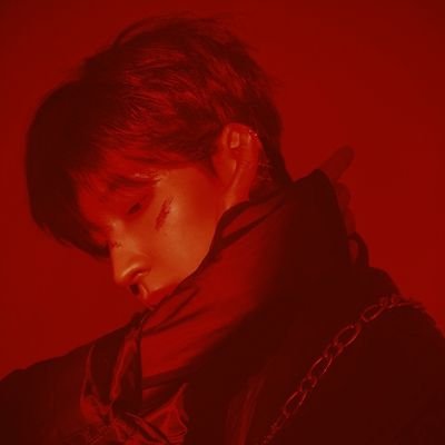 jihoonsbigbrain's profile picture. 🌸NUMBER ONE WOOZI FAN!!!!🌸